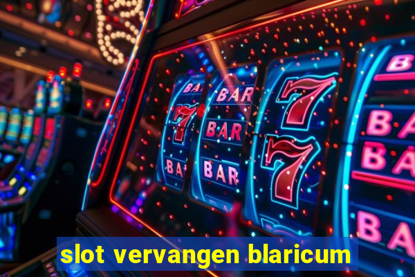 slot vervangen blaricum