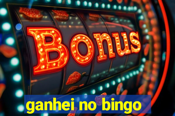 ganhei no bingo