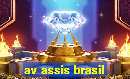 av assis brasil