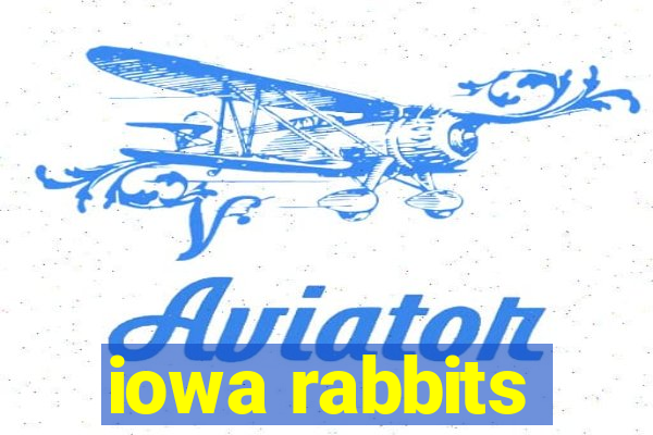 iowa rabbits