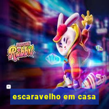 escaravelho em casa