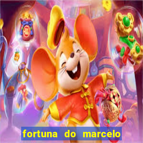 fortuna do marcelo do fluminense