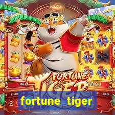 fortune tiger melhor horário