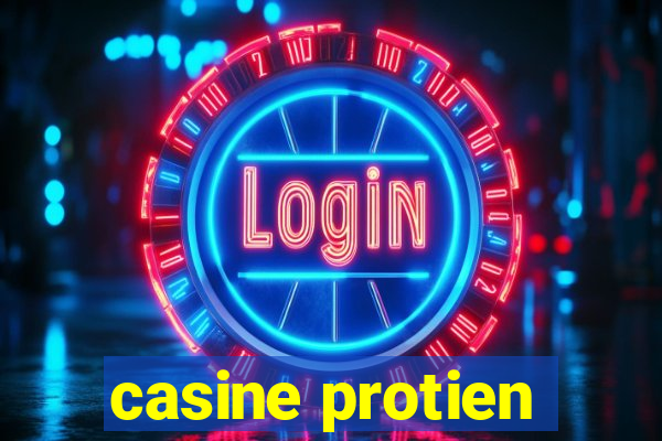 casine protien