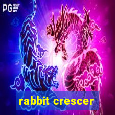 rabbit crescer