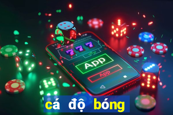 cá độ bóng đá online