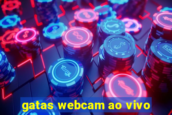 gatas webcam ao vivo