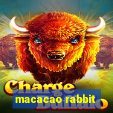 macacao rabbit