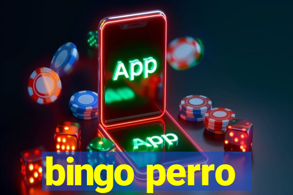 bingo perro