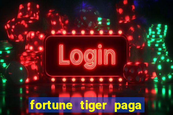 fortune tiger paga de madrugada