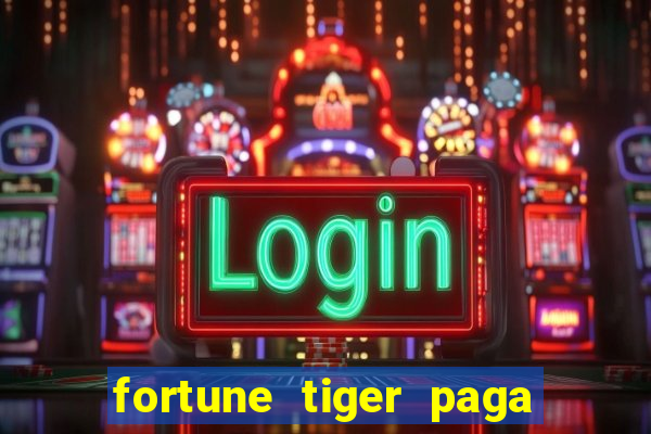 fortune tiger paga de madrugada