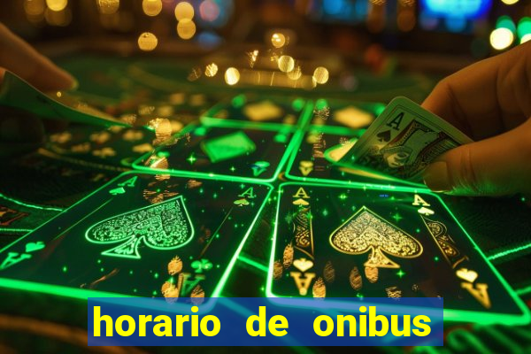 horario de onibus passaro marrom