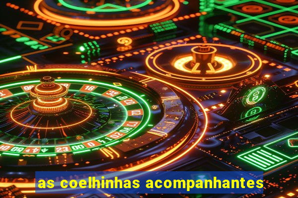 as coelhinhas acompanhantes