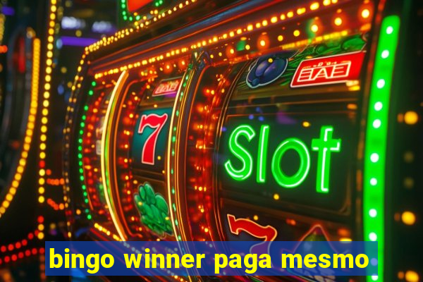 bingo winner paga mesmo