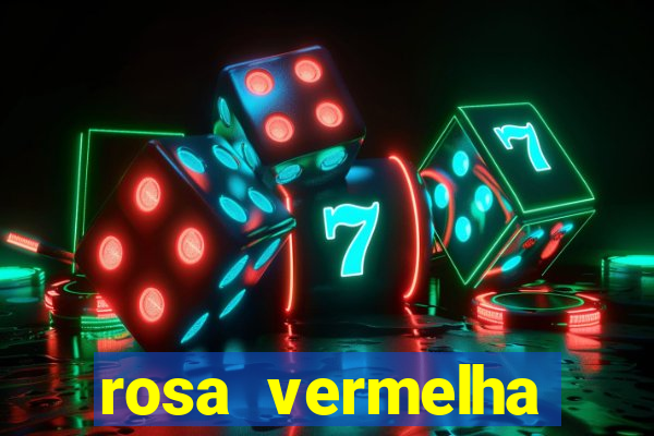 rosa vermelha (letra e cifra)