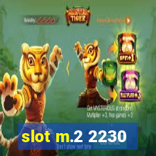 slot m.2 2230