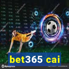 bet365 cai