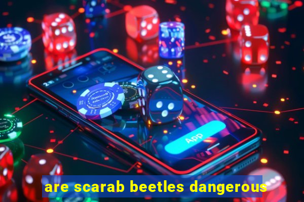 are scarab beetles dangerous