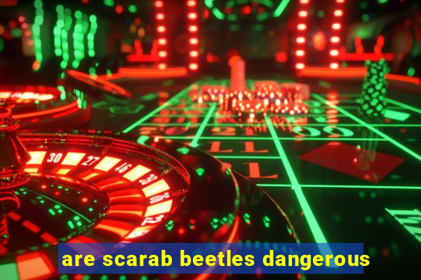 are scarab beetles dangerous