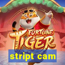 stript cam