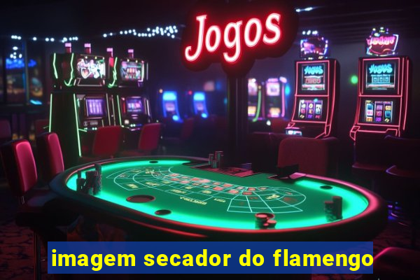 imagem secador do flamengo