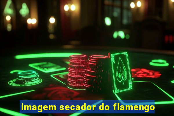 imagem secador do flamengo