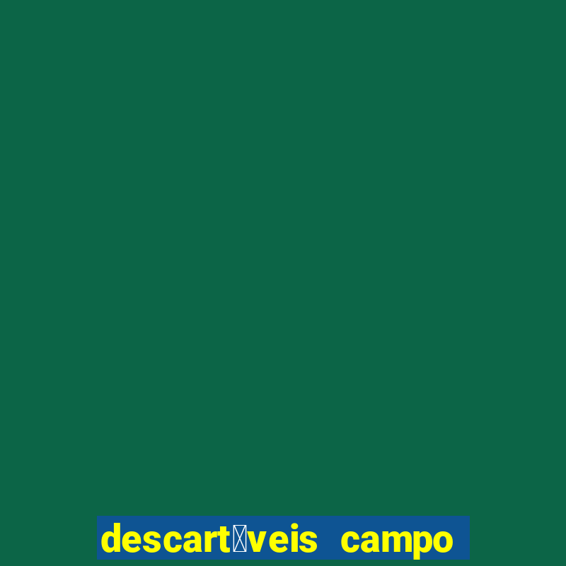 descart谩veis campo grande rj