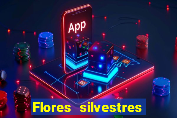 Flores silvestres brasileiras 25