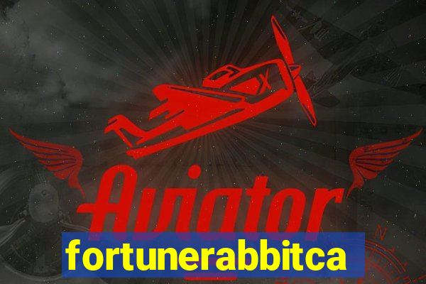 fortunerabbitcasino.online