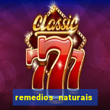 remedios naturais para diabetes