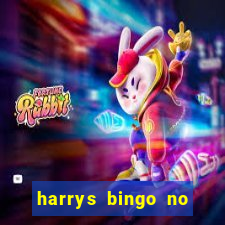 harrys bingo no deposit bonus