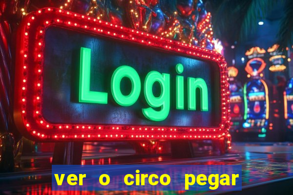 ver o circo pegar fogo significado