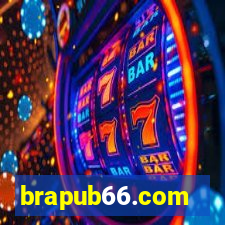 brapub66.com