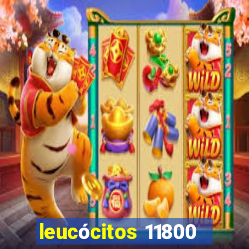 leucócitos 11800