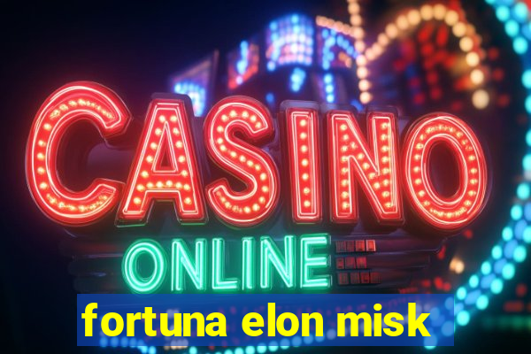 fortuna elon misk