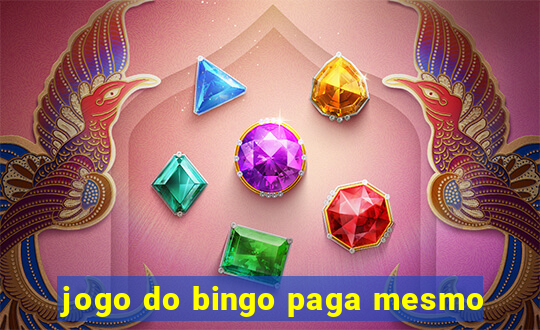 jogo do bingo paga mesmo