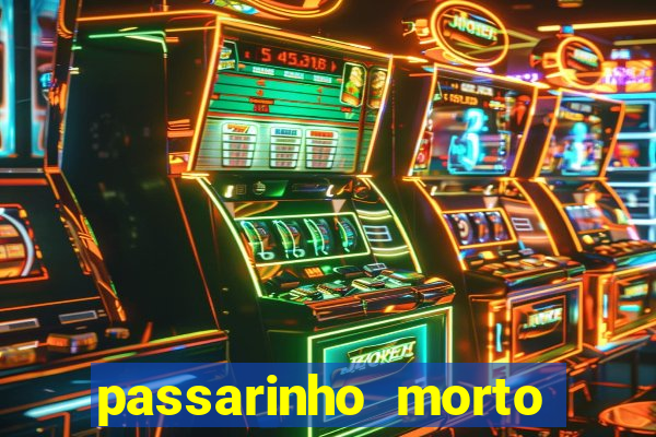 passarinho morto significado espiritual