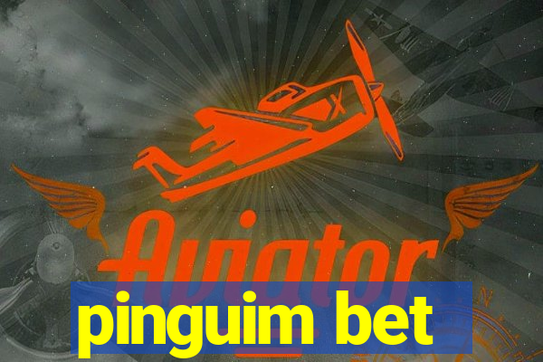 pinguim bet