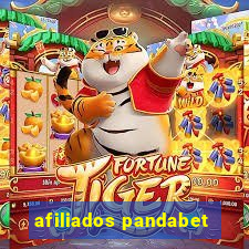 afiliados pandabet