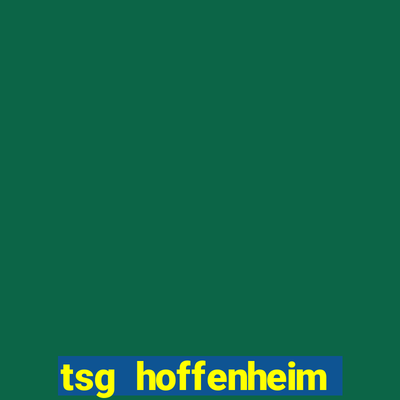 tsg hoffenheim bayer leverkusen 04/11/2023