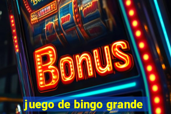 juego de bingo grande