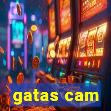 gatas cam