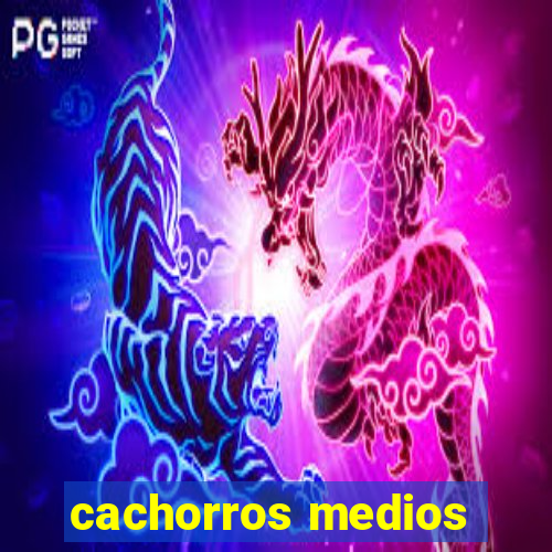 cachorros medios