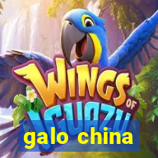 galo china