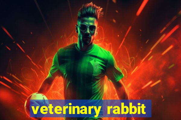 veterinary rabbit