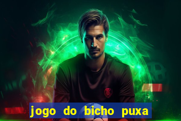 jogo do bicho puxa de dona maria