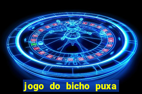 jogo do bicho puxa de dona maria