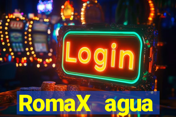 RomaX agua sanitaria fispq agua sanitaria romax