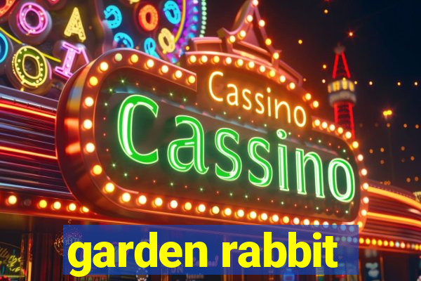 garden rabbit