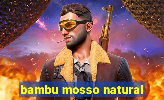 bambu mosso natural